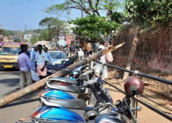 ಸುಳ್ಯ: ಹೆದ್ದಾರಿಗೆ ಬಿದ್ದ ಒಣಗಿದ ತೆಂಗಿನಮರ: ವಾಹನಕ್ಕೆ ಹಾನಿ..!!