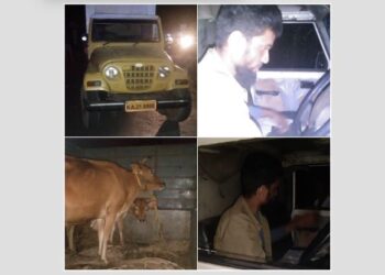 ಉಜಿರೆ:  ಅಕ್ರಮ ಗೋಸಾಗಾಟ ವಾಹನದ ಮೇಲೆ ಬಜರಂಗದಳ ದಾಳಿ..!!