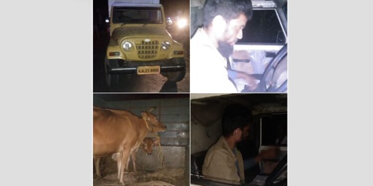 ಉಜಿರೆ:  ಅಕ್ರಮ ಗೋಸಾಗಾಟ ವಾಹನದ ಮೇಲೆ ಬಜರಂಗದಳ ದಾಳಿ..!!