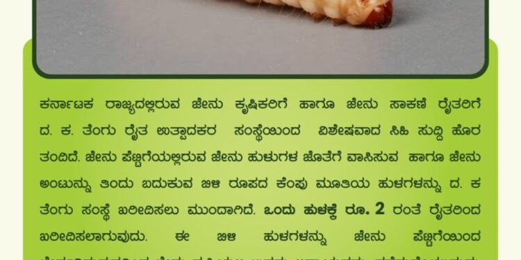 ಜೇನು ಕೃಷಿಕರಿಗೆ ಸಿಹಿ ಸುದ್ದಿ: ದ. ಕ. ತೆಂಗು ರೈತ ಉತ್ಪಾದಕರ  ಸಂಸ್ಥೆಯಿಂದ ಜೇನು ಹುಳಗಳ ಜೊತೆಗೆ ಬಿಳಿ ರೂಪದ ಹುಳಗಳನ್ನು ಖರೀದಿಸಲು ನಿರ್ಧಾರ..!!