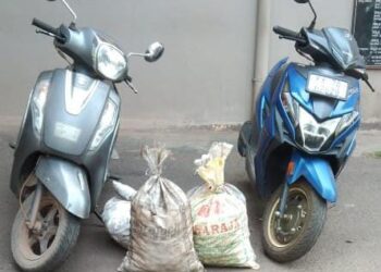 ವಿಟ್ಲ: ಬಾರೆಬೆಟ್ಟು ಮನೆಯ ಅಂಗಳದಲ್ಲಿ ಒಣ ಹಾಕಿದ ಅಡಿಕೆ ಕಳವು ಪ್ರಕರಣ: ಅಡಿಕೆ ಹಾಗೂ ವಾಹನ ಪೊಲೀಸ್ ವಶಕ್ಕೆ..!!