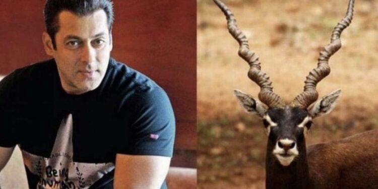 ಕೃಷ್ಣ ಮೃಗ ಹತ್ಯೆ ಪ್ರಕರಣ: ಸಲ್ಮಾನ್​ ಖಾನ್​ ಮನವಿ ಪುರಸ್ಕರಿಸಿದ ರಾಜಸ್ಥಾನ್​ ಹೈಕೋರ್ಟ್…!!