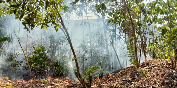 ಕೊಯಿಲ: ಗುಡ್ಡಕ್ಕೆ ಆಕಸ್ಮಿಕ ಬೆಂಕಿ: ಎಕರೆ ಗಟ್ಟಲೆ ಹುಲ್ಲುಗಾವಲು ಬೆಂಕಿಗಾಹುತಿ..!!