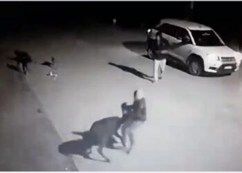 ಕಾರ್ಕಳ: ಮಾರಕಾಸ್ತ್ರದೊಂದಿಗೆ ಐಷಾರಾಮಿ ಕಾರಿನಲ್ಲಿ ಬಂದು ದನ ಕಳ್ಳತನ: ವೀಡಿಯೋ ವೈರಲ್..!!