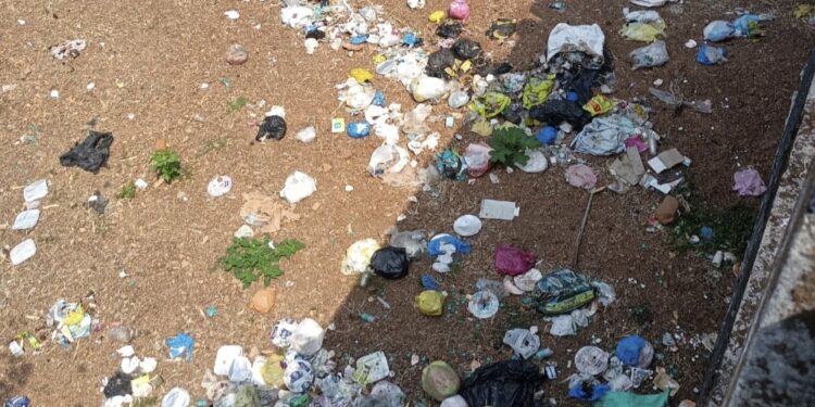 ವಿಟ್ಲ: ಪ.ಪಂ. ವ್ಯಾಪ್ತಿಯ ಸೇತುವೆಗಳ ಬಳಿ ಸಾರ್ವಜನಿಕರಿಂದ ತ್ಯಾಜ್ಯ, ಕಸ ಎಸೆತ : ಸೂಕ್ತ ಕ್ರಮಕ್ಕೆ ಆಗ್ರಹ..!!