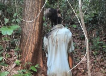 ಮಾಣಿ: ನೇಣು ಬಿಗಿದು ಕೊಳೆತ ಸ್ಥಿತಿಯಲ್ಲಿ ವ್ಯಕ್ತಿಯೋರ್ವರ ಮೃತದೇಹ ಪತ್ತೆ..!!