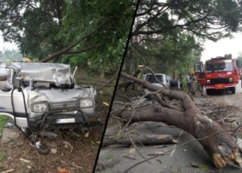 ಚಲಿಸುತ್ತಿದ್ದ ಕಾರಿನ ಮೇಲೆ ಬಿದ್ದ ಮರ: ಇಬ್ಬರು ಸ್ಥಳದಲ್ಲೇ ಸಾವು..!!