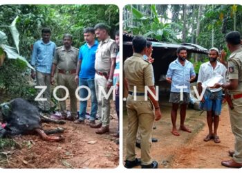 ಕಳಾರ: ಅಕ್ರಮ ಕಸಾಯಿಖಾನೆಗೆ ಪೊಲೀಸ್ ದಾಳಿ: ತಲೆ ಕಡಿದ ದನ ಹಾಗೂ ಮಾಂಸಕ್ಕಾಗಿ ತಂದ ಜಾನುವಾರುಗಳು ಪತ್ತೆ: ಆರೋಪಿ ಪರಾರಿ..!!