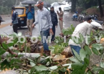 ವಿಟ್ಲ: ಭಾರೀ ಮಳೆ: ರಸ್ತೆಗೆ ಬಿದ್ದ ಮರ: ಸಂಚಾರ ಅಸ್ತವ್ಯಸ್ತ