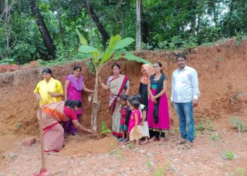 ದಾರಂದಕುಕ್ಕು:  ಅಂಗನವಾಡಿ ಕೇಂದ್ರದಲ್ಲಿ ಗಿಡ ನೆಡುವ ಮೂಲಕ ಪರಿಸರ ದಿನಾಚರಣೆ