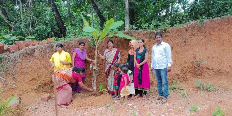 ದಾರಂದಕುಕ್ಕು: ಅಂಗನವಾಡಿ ಕೇಂದ್ರದಲ್ಲಿ ಗಿಡ ನೆಡುವ ಮೂಲಕ ಪರಿಸರ ದಿನಾಚರಣೆ
