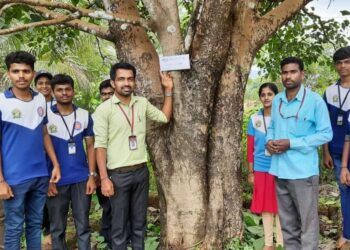 ಬೆಟ್ಟಂಪಾಡಿ:  ಕಾಲೇಜಿನಲ್ಲಿ ಮರಗಣತಿ ಕಾರ್ಯಕ್ಕೆ ಚಾಲನೆ