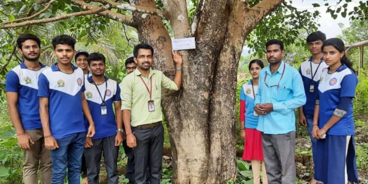 ಬೆಟ್ಟಂಪಾಡಿ:  ಕಾಲೇಜಿನಲ್ಲಿ ಮರಗಣತಿ ಕಾರ್ಯಕ್ಕೆ ಚಾಲನೆ