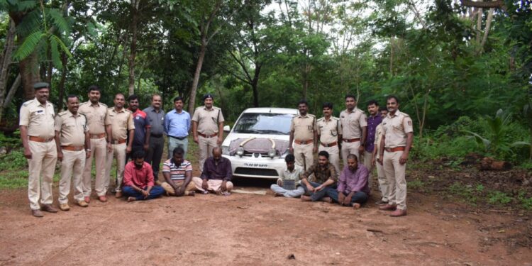 ಪುತ್ತೂರು ಅರಣ್ಯ ಇಲಾಖೆಯ ಕಾರ್ಯಾಚರಣೆ: ಆನೆ ದಂತ ಸಾಗಿಸುತ್ತಿದ್ದ ಆರು ಮಂದಿಯ ಬಂಧನ