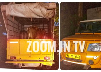 ವಿಟ್ಲ ಪೊಲೀಸರ ಕಾರ್ಯಾಚರಣೆ : ಅಕ್ರಮ ಗೋ ಸಾಗಾಟ ಮಾಡುತ್ತಿದ್ದ ಪಿಕಪ್ ಸಹಿತ ಓರ್ವ ವಶಕ್ಕೆ ..!!!