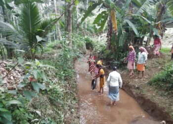 ವೀರಕಂಭ: ಸ್ನೇಹ ಸಂಜೀವಿನಿ ಒಕ್ಕೂಟದ ಸದಸ್ಯರಿಂದ ಉದ್ಯೋಗ ಖಾತ್ರಿ ಯೋಜನೆಯಡಿ ಹೊಳೆತ್ತುವ ಕಾರ್ಯ