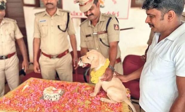 ರಕ್ಷಿತ್ ಶೆಟ್ಟಿ ಚಿತ್ರದಿಂದ ಪ್ರೇರಣೆ: ಮಂಗಳೂರಿನ ಶ್ವಾನದಳದ ನಾಯಿಗೆ “ಚಾರ್ಲಿ”ಎಂದು ನಾಮಕರಣ