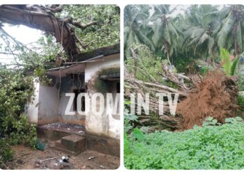 ಕರೋಪಾಡಿ: ಬೃಹತಾಕಾರದ ಮರ ಮನೆ ಮೇಲೆ ಬಿದ್ದು, ಮನೆ ಸಂಪೂರ್ಣ ನಾಶ