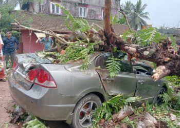 ಬಂಟ್ವಾಳ: ಚಲಿಸುತ್ತಿದ್ದ ಕಾರಿನ ಮೇಲೆ ಬಿದ್ದ ಮರ: ಪ್ರಯಾಣಿಕರು ಪಾರು