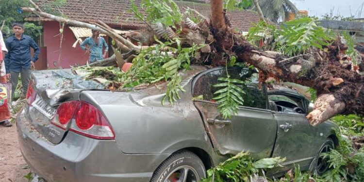 ಬಂಟ್ವಾಳ: ಚಲಿಸುತ್ತಿದ್ದ ಕಾರಿನ ಮೇಲೆ ಬಿದ್ದ ಮರ: ಪ್ರಯಾಣಿಕರು ಪಾರು