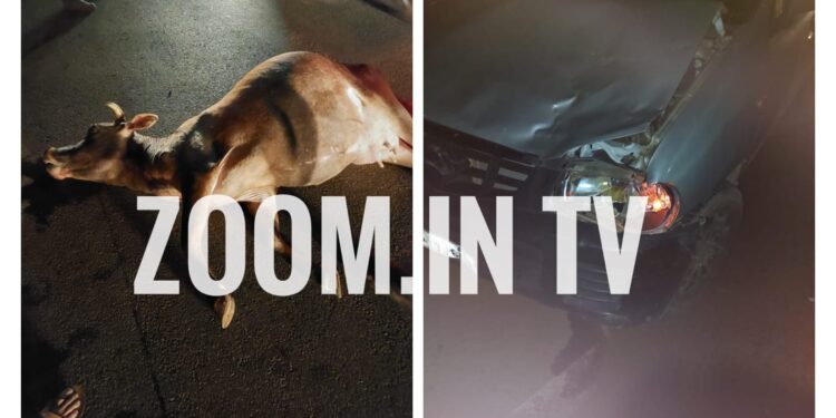 ಪುತ್ತೂರು: ರಸ್ತೆ ದಾಟುತ್ತಿದ್ದ ದನಕ್ಕೆ ಡಿಕ್ಕಿ ಹೊಡೆದ ಕಾರು: ದನ ಮೃತ್ಯು..!!