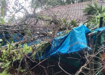 ವಿಟ್ಲ: ಭಾರೀ ಮಳೆಗೆ ಮನೆಯ ಮೇಲೆ ಉರುಳಿ ಬಿದ್ದ ಬೃಹತ್ ಗಾತ್ರ ಮರ: ಅಪಾರ ನಷ್ಟ