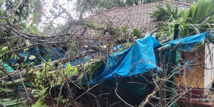 ವಿಟ್ಲ: ಭಾರೀ ಮಳೆಗೆ ಮನೆಯ ಮೇಲೆ ಉರುಳಿ ಬಿದ್ದ ಬೃಹತ್ ಗಾತ್ರ ಮರ: ಅಪಾರ ನಷ್ಟ