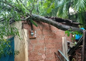 ಕೊಳ್ನಾಡು: ಭಾರೀ ಮಳೆಗೆ ಮನೆ ಮೇಲೆ ಮುರಿದು ಬಿದ್ದ ಮರ: ವೃದ್ಧೆಯ ಜೀವನ ಅತಂತ್ರ