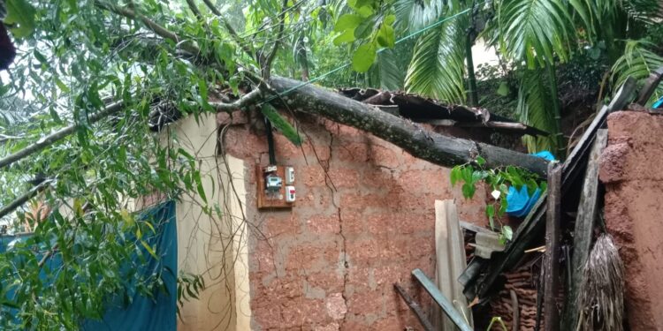 ಕೊಳ್ನಾಡು: ಭಾರೀ ಮಳೆಗೆ ಮನೆ ಮೇಲೆ ಮುರಿದು ಬಿದ್ದ ಮರ: ವೃದ್ಧೆಯ ಜೀವನ ಅತಂತ್ರ