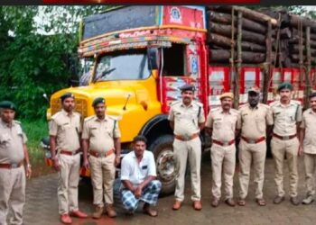ಉಪ್ಪಿನಂಗಡಿ: ಲಾರಿಯಲ್ಲಿ ಅಕ್ರಮವಾಗಿ ಸಾಗಿಸುತ್ತಿದ್ದ ಅಕೇಶಿಯಾ ಮರ ವಶ: ಓರ್ವನ ಬಂಧನ: ಇಬ್ಬರು ಪರಾರಿ