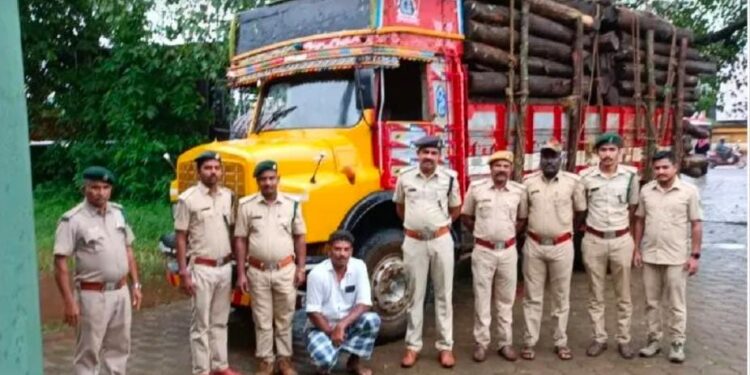 ಉಪ್ಪಿನಂಗಡಿ: ಲಾರಿಯಲ್ಲಿ ಅಕ್ರಮವಾಗಿ ಸಾಗಿಸುತ್ತಿದ್ದ ಅಕೇಶಿಯಾ ಮರ ವಶ: ಓರ್ವನ ಬಂಧನ: ಇಬ್ಬರು ಪರಾರಿ