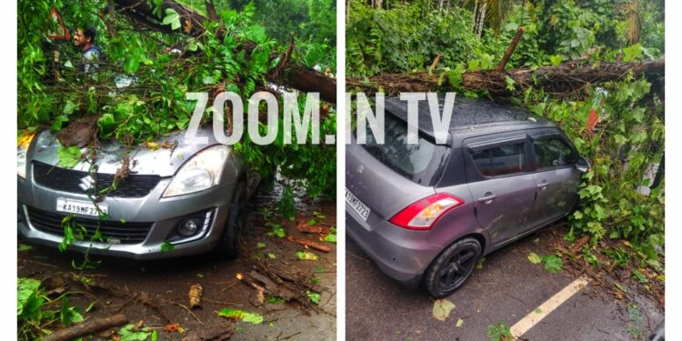 ಪುತ್ತೂರು: ಚಲಿಸುತ್ತಿದ್ದ ಕಾರಿನ ಮೇಲೆ ಬಿದ್ದ ಮರ: ಕಾರಿಗೆ ಹಾನಿ