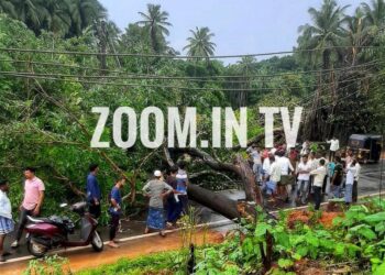 ಪೆರ್ನೆ: ಧರೆಗುರುಳಿದ ಬೃಹತ್ ಗಾತ್ರದ ಮರಗಳು: ರಾಷ್ಟ್ರೀಯ ಹೆದ್ದಾರಿ ಬಂದ್: ಸಂಚಾರದಲ್ಲಿ ಅಸ್ತವ್ಯಸ್ತ