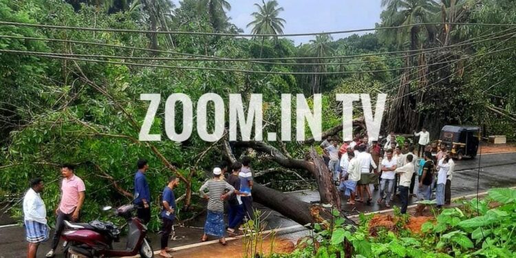 ಪೆರ್ನೆ: ಧರೆಗುರುಳಿದ ಬೃಹತ್ ಗಾತ್ರದ ಮರಗಳು: ರಾಷ್ಟ್ರೀಯ ಹೆದ್ದಾರಿ ಬಂದ್: ಸಂಚಾರದಲ್ಲಿ ಅಸ್ತವ್ಯಸ್ತ