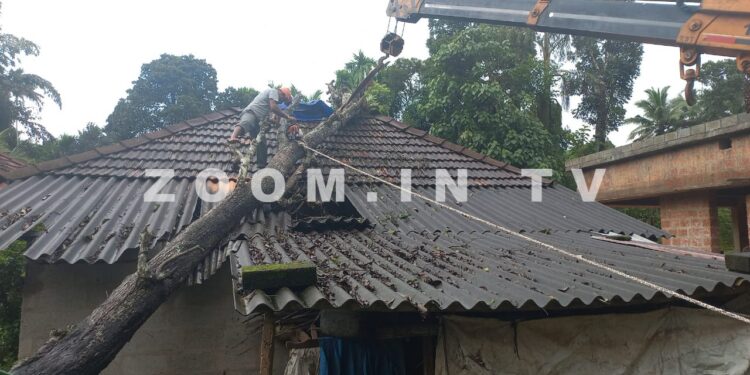 ಮುಂಡೂರು: ಮನೆಯ ಮೇಲೆ ಬಿದ್ದ ಬೃಹತ್ ಗಾತ್ರದ ಮರ: ಕ್ರೇನ್ ಮೂಲಕ ಮರ ತೆರವು:; ಲಕ್ಷಾಂತರ ರೂ.ನಷ್ಟ