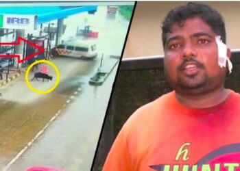 ಶಿರೂರು ಆ್ಯಂಬುಲೆನ್ಸ್ ದುರಂತ: ಚಾಲಕ ರೋಷನ್ ಪೊಲೀಸ್ ವಶಕ್ಕೆ: ದನ ಅಡ್ಡ ಬಂದಿದ್ದರಿಂದ ನಿಯಂತ್ರಣ ಸಿಕ್ಕಿಲ್ಲ, ಟೋಲ್‌ನವರ ನಿರ್ಲಕ್ಷ್ಯವೂ ಇದೆ- ರೋಷನ್ ಆರೋಪ