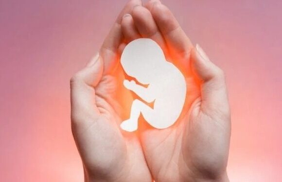 ಅವಿವಾಹಿತೆಗೂ ಗರ್ಭಪಾತಕ್ಕೆ ಅವಕಾಶ: ಸುಪ್ರೀಂ ಕೋರ್ಟ್‌ ಮಹತ್ವದ ತೀರ್ಪು