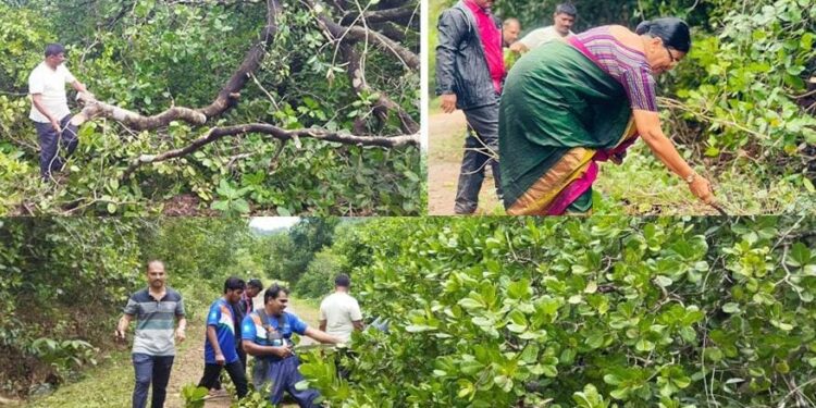 ಪುತ್ತೂರು: ಕಾಂಗ್ರೆಸ್ ಪ್ರಕೃತಿ ವಿಕೋಪ ನಿರ್ವಹಣಾ ತಂಡದಿಂದ ರಸ್ತೆ ಸ್ವಚ್ಚತಾ ಕಾರ್ಯ: ಕೆಲಸಕ್ಕೆ ಸಾಥ್ ನೀಡಿದ ಮಾಜಿ ಶಾಸಕಿ ಶಕುಂತಲಾ ಶೆಟ್ಟಿ