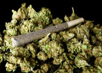 ಮಂಗಳೂರು: ಸಿಸಿಬಿ ಪೊಲೀಸರ ಕಾರ್ಯಾಚರಣೆ: ಗಾಂಜಾ ಮಾರುತ್ತಿದ್ದ 12 ವಿದ್ಯಾರ್ಥಿಗಳ ಬಂಧನ: ಲಕ್ಷಾಂತರ ರೂ. ಮೌಲ್ಯದ ಸೊತ್ತು ವಶ