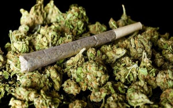 ಮಂಗಳೂರು: ಸಿಸಿಬಿ ಪೊಲೀಸರ ಕಾರ್ಯಾಚರಣೆ: ಗಾಂಜಾ ಮಾರುತ್ತಿದ್ದ 12 ವಿದ್ಯಾರ್ಥಿಗಳ ಬಂಧನ: ಲಕ್ಷಾಂತರ ರೂ. ಮೌಲ್ಯದ ಸೊತ್ತು ವಶ