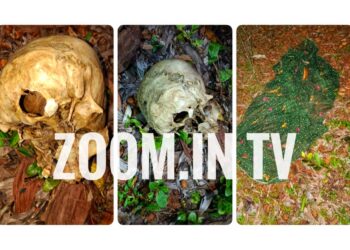 ವಿಟ್ಲ: ನೆಕ್ಕರೆಕಾಡು ಬಳಿ ಮಾನವನ ತಲೆ ಬುರುಡೆ, ಎಲುಬುಗಳು ಪತ್ತೆ.! ಸ್ಥಳಕ್ಕೆ ಪೊಲೀಸರ ದೌಡು