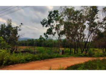 ಬಿರುಮಲೆ ಗುಡ್ಡೆಯಲ್ಲಿ ಕಾಲೇಜ್ ಡೇ ಸೆಲೆಬ್ರೇಶನ್..!!! ಪೊಲೀಸ್ ಎಂಟ್ರಿ ಕೊಡುತ್ತಿದ್ದಂತೆ ತಂಡ ಪರಾರಿ..!!!