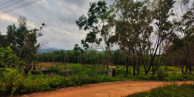 ಬಿರುಮಲೆ ಗುಡ್ಡೆಯಲ್ಲಿ ಕಾಲೇಜ್ ಡೇ ಸೆಲೆಬ್ರೇಶನ್..!!! ಪೊಲೀಸ್ ಎಂಟ್ರಿ ಕೊಡುತ್ತಿದ್ದಂತೆ ತಂಡ ಪರಾರಿ..!!!