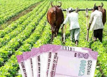 ಪಿಎಂ ಕಿಸಾನ್ ಯೋಜನೆ: ಆ.31 ರೊಳಗೆ ಇ-ಕೆವೈಸಿ ಮಾಡಿಸಲು ರೈತರಿಗೆ ಅವಕಾಶ..!!