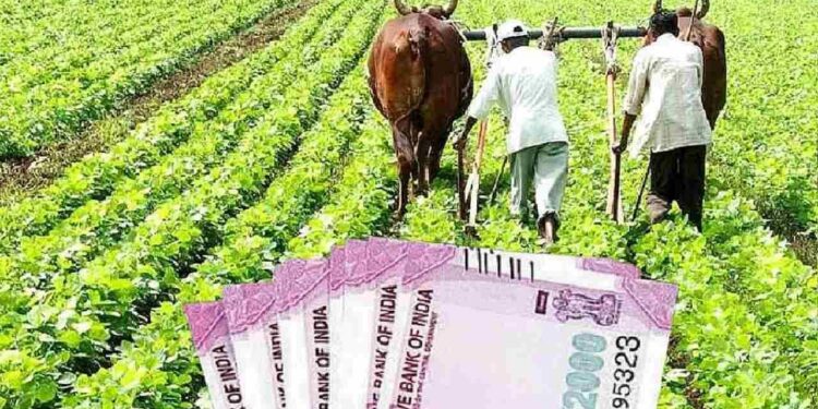 ಪಿಎಂ ಕಿಸಾನ್ ಯೋಜನೆ: ಆ.31 ರೊಳಗೆ ಇ-ಕೆವೈಸಿ ಮಾಡಿಸಲು ರೈತರಿಗೆ ಅವಕಾಶ..!!