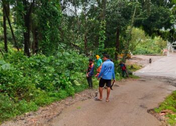 ಕೂಟೇಲು ಶ್ರೀಕೃಷ್ಣ ಯುವಕ ಸಂಘದ ನೇತೃತ್ವದಲ್ಲಿ ಶ್ರಮದಾನ