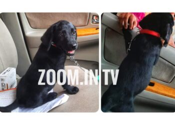 ಪ್ರವೀಣ್ ನೆಟ್ಟಾರು ರವರ ಪ್ರೀತಿಯ “ಬ್ಲ್ಯಾಕಿ” ಅಸೌಖ್ಯದಿಂದ ನಿಧನ