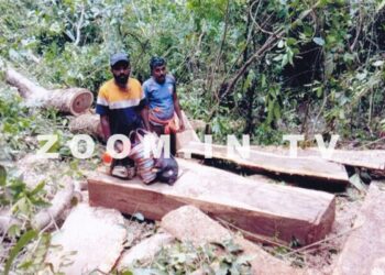 ಉಪ್ಪಿನಂಗಡಿ: ರಕ್ಷಿತಾರಣ್ಯದಿಂದ ಮರ ಕಡಿದು ಮಾರಾಟಕ್ಕೆ ಯತ್ನ: ಬೆಲೆಬಾಳುವ ದಿಮ್ಮಿ ಸಹಿತ ಮೂವರು ವಶಕ್ಕೆ..!!