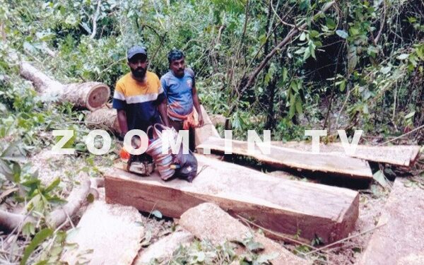 ಉಪ್ಪಿನಂಗಡಿ: ರಕ್ಷಿತಾರಣ್ಯದಿಂದ ಮರ ಕಡಿದು ಮಾರಾಟಕ್ಕೆ ಯತ್ನ: ಬೆಲೆಬಾಳುವ ದಿಮ್ಮಿ ಸಹಿತ ಮೂವರು ವಶಕ್ಕೆ..!!