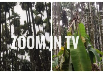 ಶಾಂತಿಗೋಡು : ಸಿಡಿಲು ಬಡಿದು ಅಡಿಕೆ ತೋಟಕ್ಕೆ ಹಾನಿ
